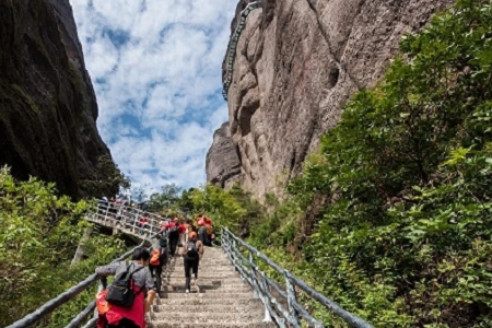 ��ˇС���µĵ������