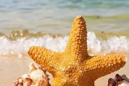 �� ���B(y��ng)����Ʒ�������x