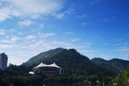 ��˾������Ԣ����