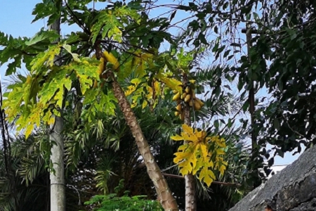 �٤�^��������Ó��