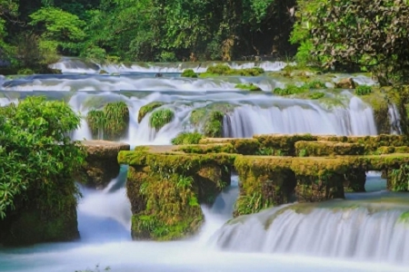 �ǹ���˾���ֺ� ��Ԣ�⾫�x