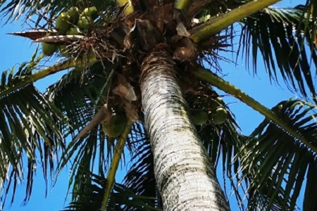 �Ļ���Ϣ���Ĺ�˾����