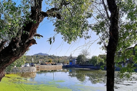 ���l(f��)��������ȫ��(ji��n)�Εr(sh��)��