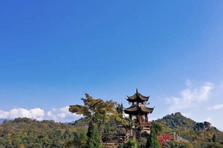 ע���Bֳ��˾���ִ�ȫ