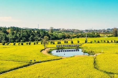 �� ���Ļ�����I���ִ�ȫ