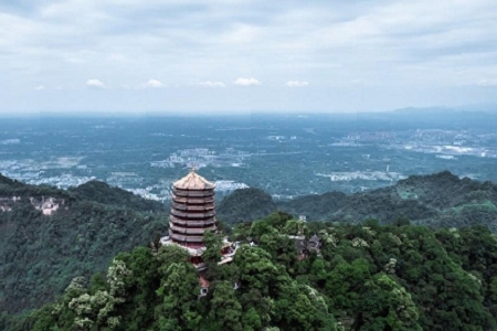 2023��ý��˾��������