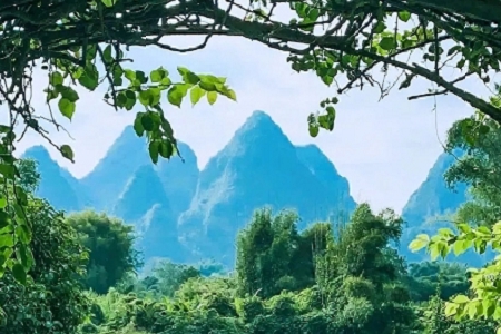 ���¸ߴ��ϵĵ������