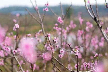 �����������֜y��˾�����M