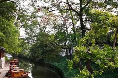 �� ���ĿƼ���˾����