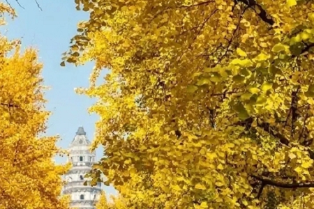 �������Є�(chu��ng)����b�޹�˾���Q