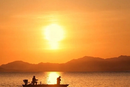 ��˾���Q(ch��ng)ע��(c��)������ԃ(x��n)