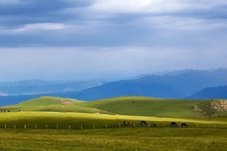 ����ȱˮ����Ĺ�˾����