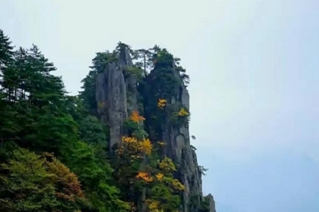 �OӋ��˾������ȫ����