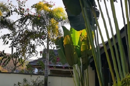 Ԣ��õĿƼ���˾����