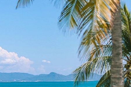 ��(g��)���\(y��n)ݔ��˾���ִ�ȫ