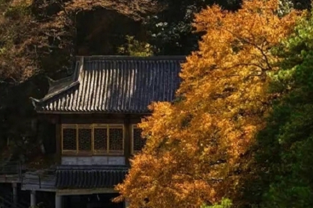 170���� ���˾���Q