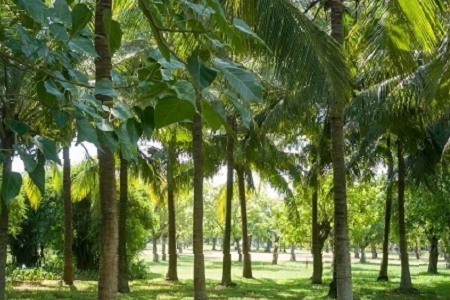 2023��ȡ��˾����ȫ���°�