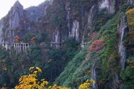 �����ؔ�� �Ĺ�˾����