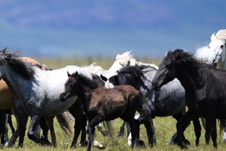 裝飾公司名稱怎么取好