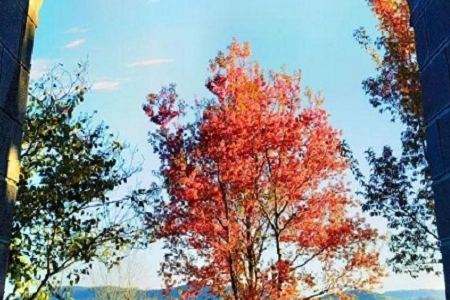 �F(xi��n)���_(k��i)��˾��ôȡ��˾��