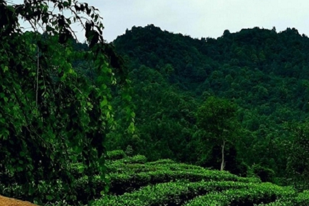 ���^���εĹ�˾���ִ�ȫ