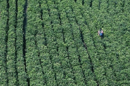 ��˾ȡ�������օ�����ȫ