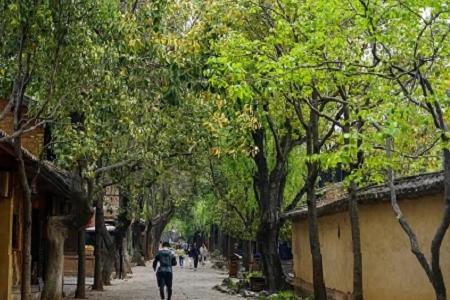 �\ݔ��˾���ֺ� ���