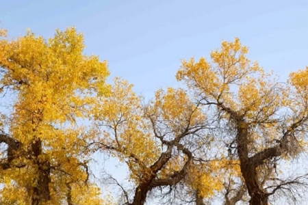 ��������^�������ִ�ȫ