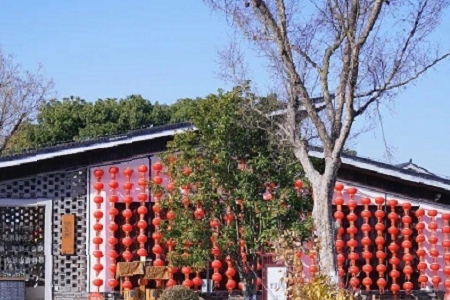 100�������³���˾����