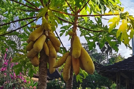 ��˾���Qע��������ԃ�پW