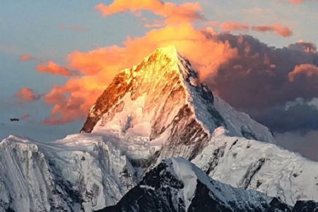 ���鹫˾������ȫ�Ď�