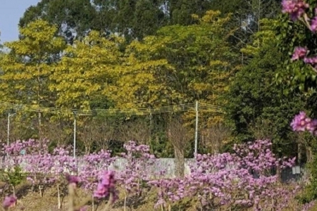 ����Ĺ�˾���ִ�ȫ���M