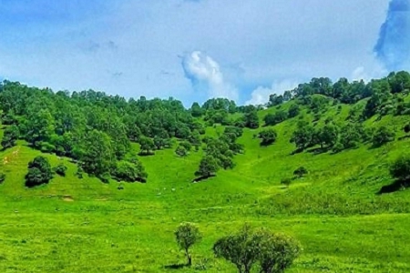 ���ȡ��˾���Q��ȫ���M