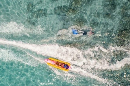 ��˾���Լ���������������