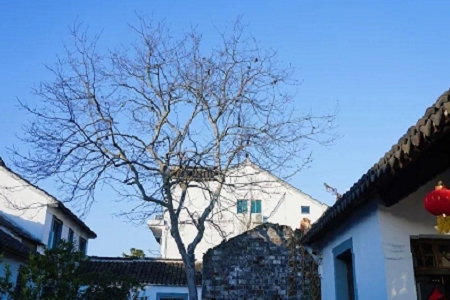 財稅類公司如何取名字