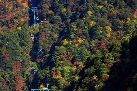 88�������˾������ȫ