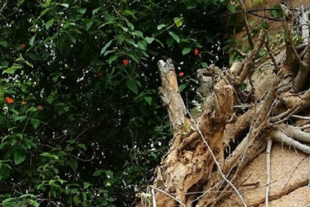 �ڄ�(w��)��˾��ʲô����