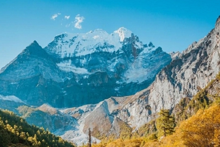 140���¹�˾ע��ȡ����ȫ