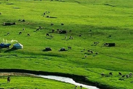 ���Ļ����ŃȺ��Ĺ�˾���Q