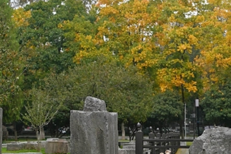 2023�������ؔ?sh��)Ĺ�˾���?></p>2023���ؔ?sh��)Ĺ�˾���?<br>��Ԫ ���z ˹�� Ӎ�I ˹�� ��˹<br><p><img border=