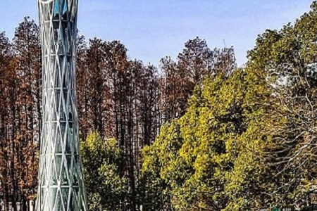 �³����Ĺ�˾���Q����Щ