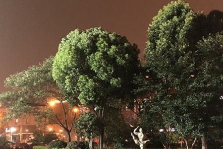 �������ι�˾������ȫ