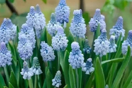 300��(g��)���鹫˾���ִ�ȫ��ӛ�� (t��ng)