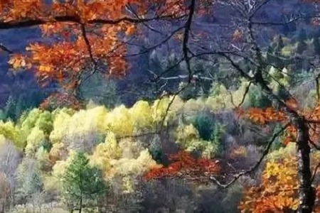 ���﹫˾ȡ���օ�����ȫ