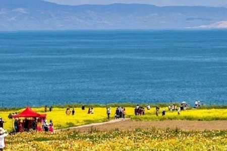 ��˾�� �����ִ�ȫ��