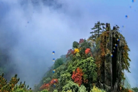 Ԣ��õ����U��˾���ִ�ȫ