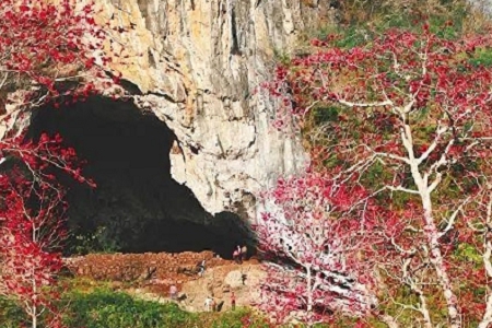 �� �и߼��еĹ�˾����