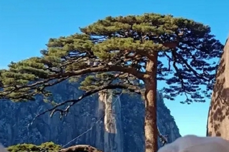 ȡ����ؔ�Ĺ�˾����