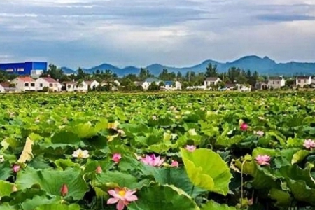 ����Ԛ�Ĺ�˾����