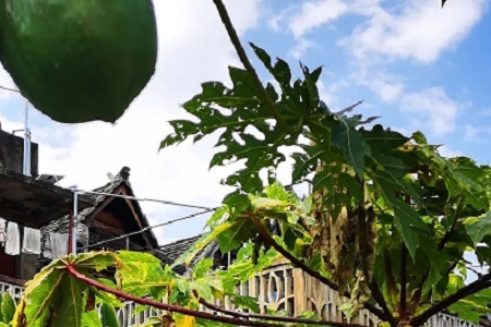 �b�޹�˾ȡ���߶˴��